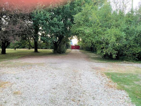 La Maison Tournesol - 3 Bedroom House With Large Garden Near Saumur Saint-Martin-de-la-Place Eksteriør billede