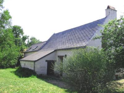 La Maison Tournesol - 3 Bedroom House With Large Garden Near Saumur Saint-Martin-de-la-Place Eksteriør billede